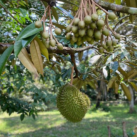 Kebun Puisi Βίλα Kajang Εξωτερικό φωτογραφία